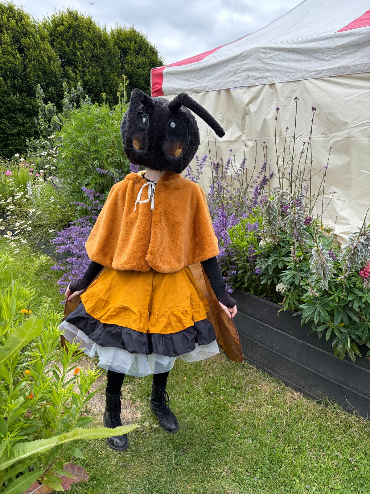 A festival activity during the Skerries Wild Bee Festival 2026